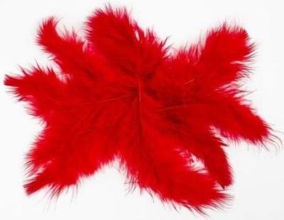 Opakowanie Piórka 10g