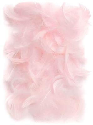Opakowanie Piórka 5-12 cm 10g pink