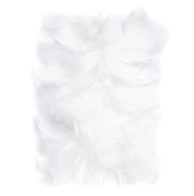 Opakowanie Piórka 5-12 cm 10g white