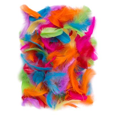 Piórka brights 5-12cm 10g. Wydawca: DP CRAFT. SmakLiter.pl Opakowanie Piórka brights 5-12cm 10g