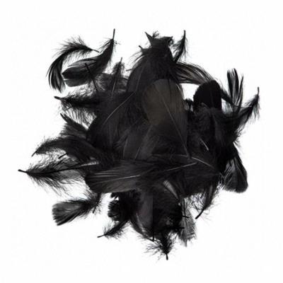 Opakowanie Piórka czarne 5-12cm 10g