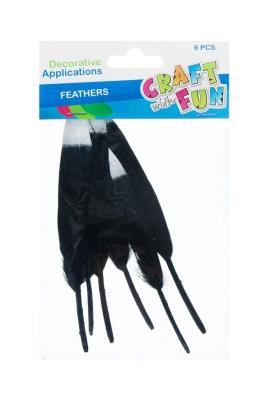 Opakowanie Piórka dekoracyjne czarne 6szt