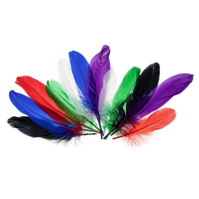 Piórka gęsie jaskrawe 15-20cm. Wydawca: Brewis. SmakLiter.pl Opakowanie Piórka gęsie jaskrawe 15-20cm