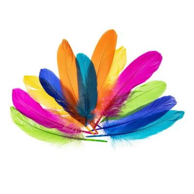 Piórka gęsie nenowy 15-20cm. Wydawca: Brewis. SmakLiter.pl Opakowanie Piórka gęsie nenowy 15-20cm