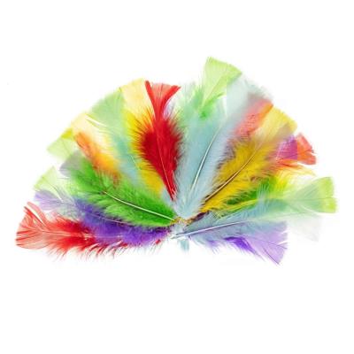 Piórka indycze 10-15cm pastelowe. Wydawca: Brewis. SmakLiter.pl Opakowanie Piórka indycze 10-15cm pastelowe