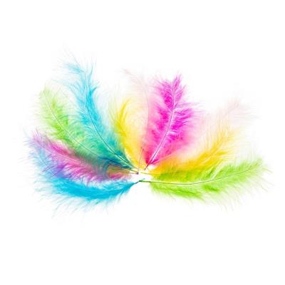Piórka indycze 10-15cm pastelowe. Wydawca: Brewis. SmakLiter.pl Opakowanie Piórka indycze 10-15cm pastelowe