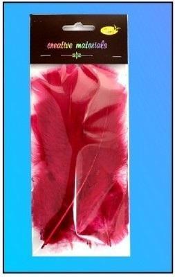 Opakowanie Piórka miękkie bordowe 15szt