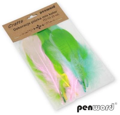 Opakowanie Piórka mix 10-13cm 25szt