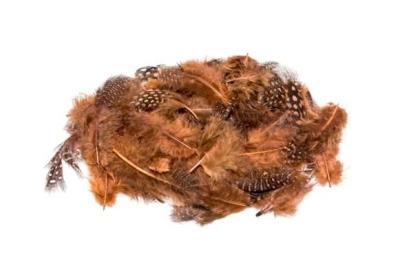 Opakowanie Piórka nakrapiane brązowe 3g