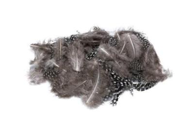 Opakowanie Piórka nakrapiane czarne 3g