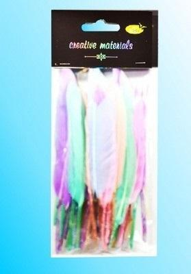 Opakowanie Piórka twarde 15cm 50szt