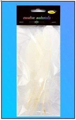 Opakowanie Piórka twarde białe 10szt