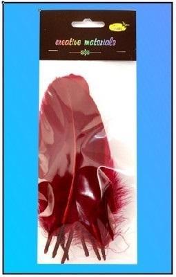 Opakowanie Piórka twarde bordowe 10szt