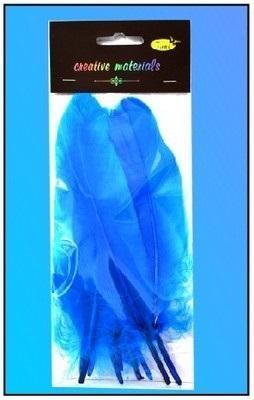 Opakowanie Piórka twarde pacyfik 10szt