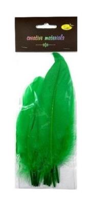 Opakowanie Piórka twarde zielone 10szt