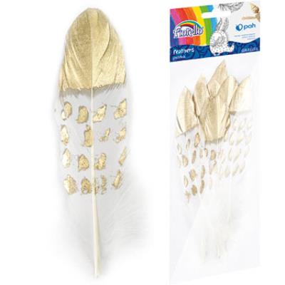 Piórka złote 13-19 cm 8 szt. Fiorello GR-FE014. Wydawca: Fiorello. SmakLiter.pl Opakowanie Piórka złote 13-19 cm 8 szt. Fiorello GR-FE014