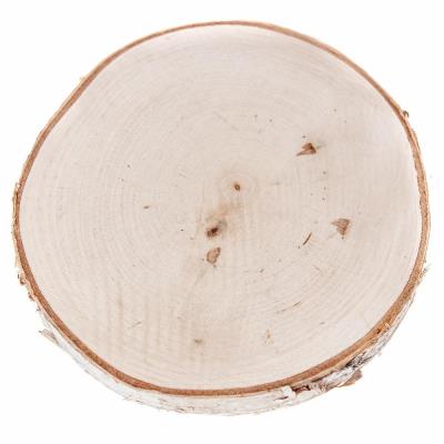 Plaster drewna 15-16cm. Wydawca: Dalprint. SmakLiter.pl Opakowanie Plaster drewna 15-16cm