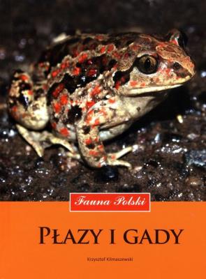 Płazy i gady. Fauna Polski wyd. 2023. Autor: Klimaszewski Krzysztof. SmakLiter.pl Okładka książki Płazy i gady. Fauna Polski wyd. 2023
