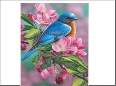 Opakowanie Płótno malarskie ze szkicem 40x50 89655