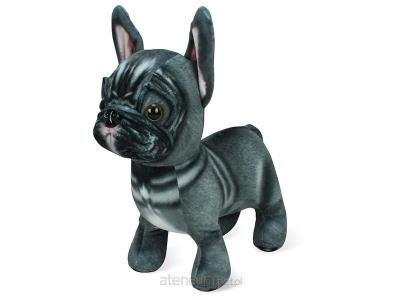 Opakowanie Pluszak Buldog