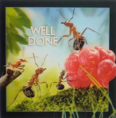 Opakowanie Pocztówka 3D - Dobra robota