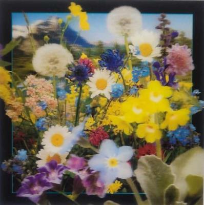 Opakowanie Pocztówka 3D - Kwiaty polne