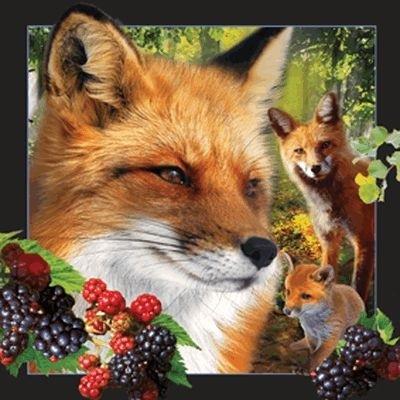 Opakowanie Pocztówka 3D - Lis