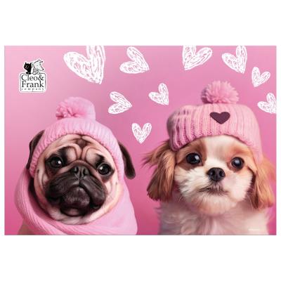 Opakowanie Podkład oklejany Cleo i Frank Pies DERFORM