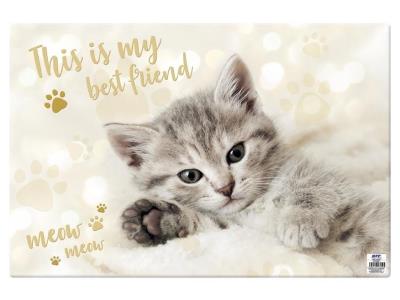 Opakowanie Podkładka na biurko MFP 60x40cm Kot