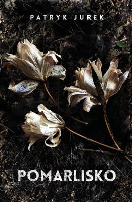 Okładka książki Pomarlisko