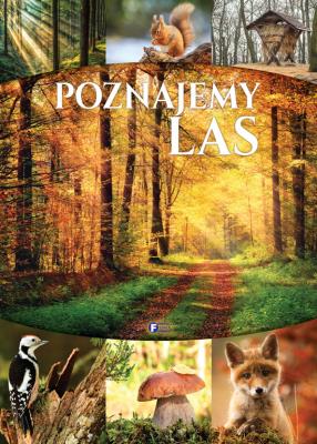 Poznajemy las - uszkodzone. Autor: Opracowanie zbiorowe. SmakLiter.pl Okładka książki Poznajemy las - uszkodzone