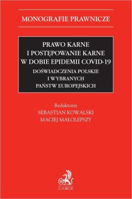 Okładka książki Prawo karne i postępowanie karne w dobie..