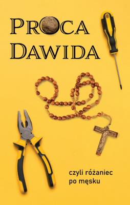 Proca Dawida. Wydawca: Biblos. SmakLiter.pl Opakowanie Proca Dawida