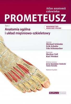 Prometeusz Atlas Anatomii Człowieka. Tom 1. Autor: Schunke Michael, Schulte Erik, Schumacher Udo. SmakLiter.pl Okładka książki Prometeusz Atlas Anatomii Człowieka. Tom 1