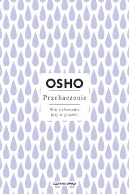Okładka książki Przebaczenie. Siła wybaczania leży w gniewie