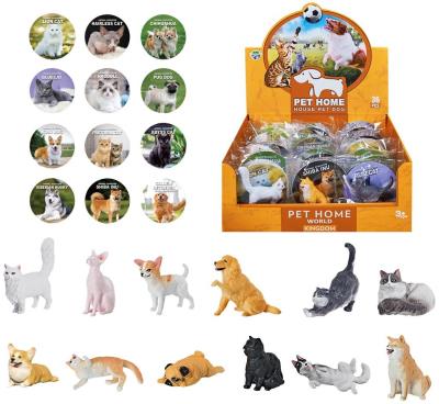 Opakowanie Psy i koty MIX