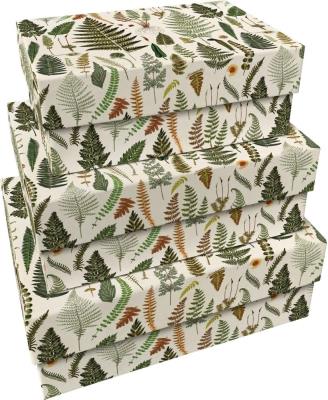 Opakowanie Pudełka ozdobne Paprocie 3szt