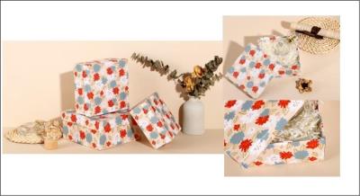 Opakowanie Pudełko prezentowe 3w1 HZ-Z-5242-4