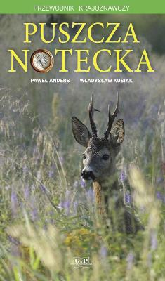Puszcza Notecka. Przewodnik krajoznawczy. Autor: Paweł Anders, Władysław Kusiak. SmakLiter.pl Okładka książki Puszcza Notecka. Przewodnik krajoznawczy