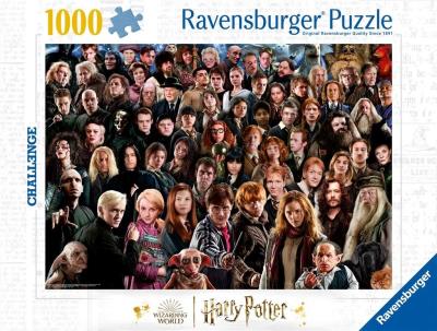 Opakowanie Puzzle 1000 Challenge. Harry Potter