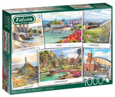 Opakowanie Puzzle 1000 Falcon Walia G3