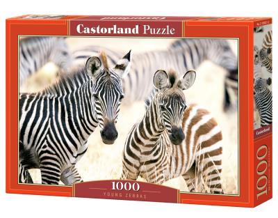 Puzzle 1000 Young Zebras CASTOR. Wydawca: Castorland. SmakLiter.pl Opakowanie Puzzle 1000 Young Zebras CASTOR