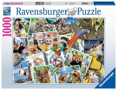 Opakowanie Puzzle 1000 Zwierzaki w podróży