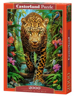 Opakowanie Puzzle 2000 Leopard in the Wild CASTOR