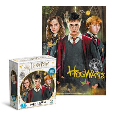 Opakowanie Puzzle 250 Harry Potter i przyjaciele