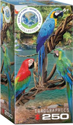 Puzzle 250 Macaws 8251-5588. Wydawca: Eurographics. SmakLiter.pl Opakowanie Puzzle 250 Macaws 8251-5588