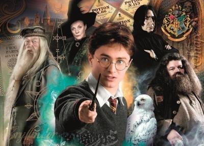 Opakowanie Puzzle 500 Compact Harry Potter