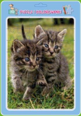 Opakowanie Puzzle w ramce z kolorowanką. Koty