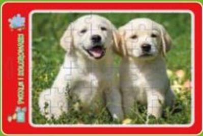 Opakowanie Puzzle w ramce z kolorowanką. Szczeniaczki