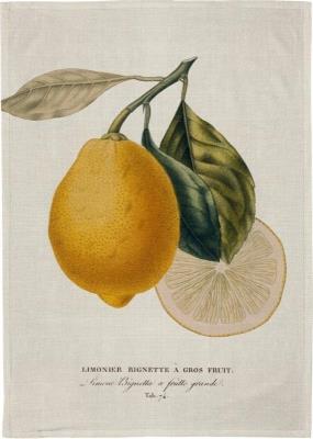 Opakowanie Ręcznik kuchenny - Cytryna